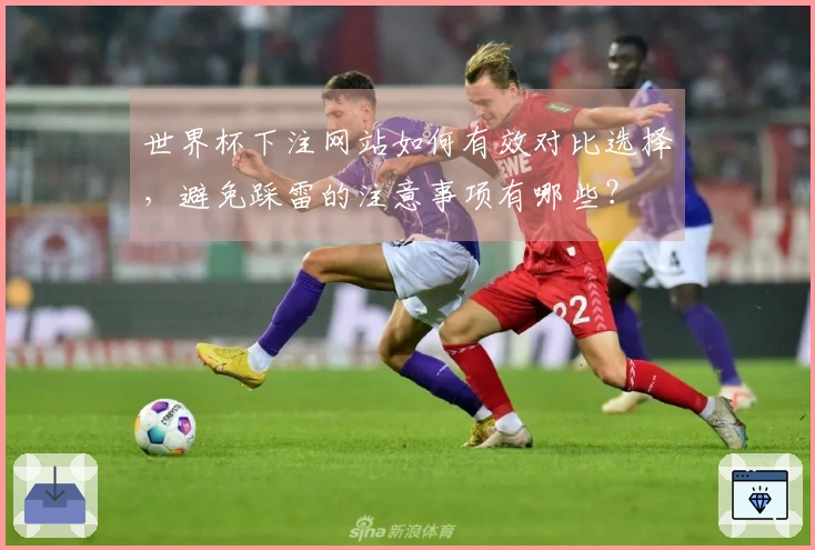 世界杯下注网站如何有效对比选择,避免踩雷的注意事项有哪些?
