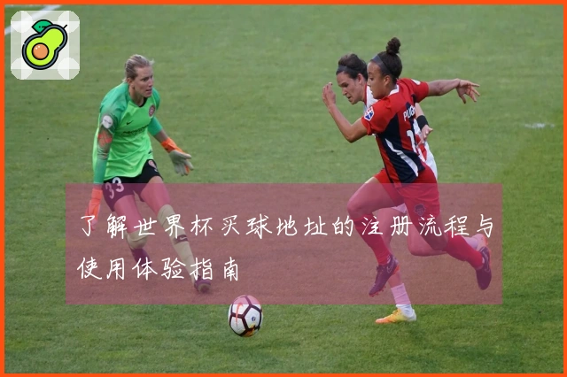 了解世界杯买球地址的注册流程与使用体验指南