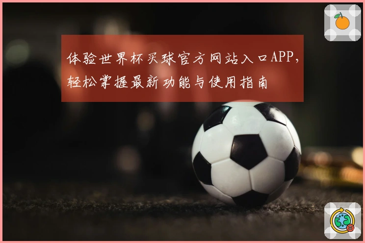 体验世界杯买球官方网站入口APP，轻松掌握最新功能与使用指南