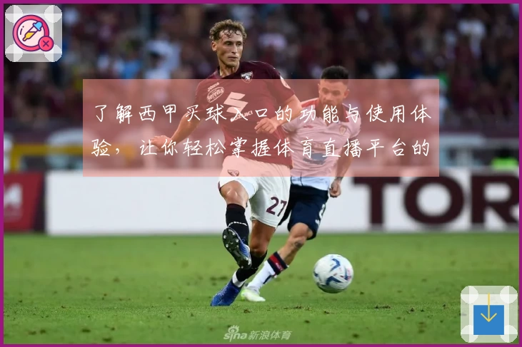 了解西甲买球入口的功能与使用体验，让你轻松掌握体育直播平台的优势