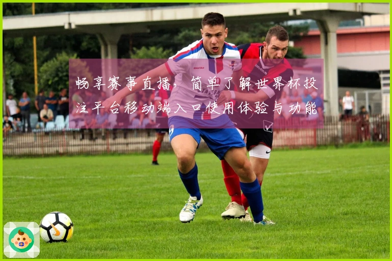 畅享赛事直播,简单了解世界杯投注平台移动端入口使用体验与功能优势