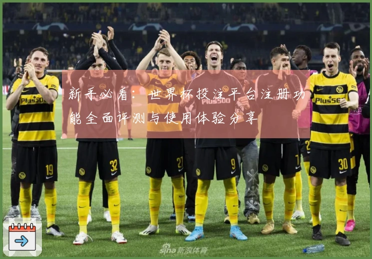 新手必看：世界杯投注平台注册功能全面评测与使用体验分享