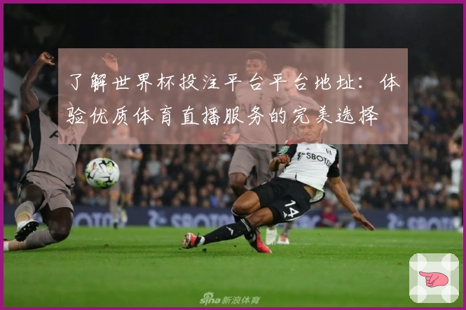 了解世界杯投注平台平台地址：体验优质体育直播服务的完美选择