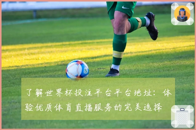 了解世界杯投注平台平台地址：体验优质体育直播服务的完美选择