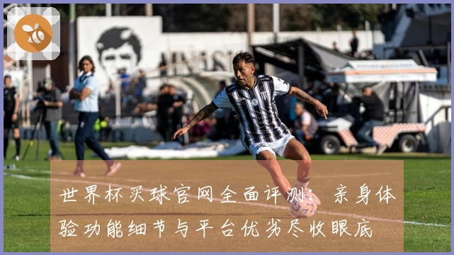 世界杯买球官网全面评测：亲身体验功能细节与平台优劣尽收眼底