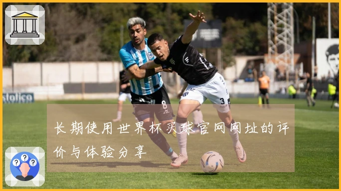 长期使用世界杯买球官网网址的评价与体验分享