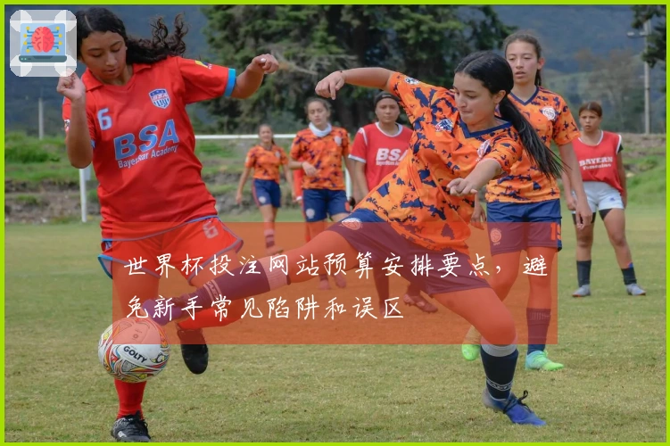世界杯投注网站预算安排要点，避免新手常见陷阱和误区