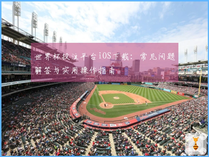 世界杯投注平台iOS下载:常见问题解答与实用操作指南