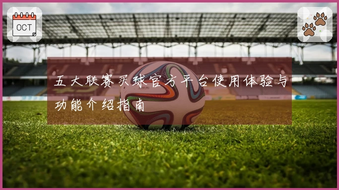 五大联赛买球官方平台使用体验与功能介绍指南