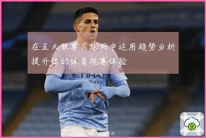 在五大联赛买球网中运用趋势分析提升你的体育观赛体验