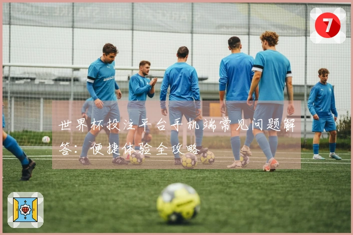 世界杯投注平台手机端常见问题解答：便捷体验全攻略