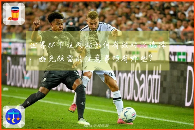 世界杯下注网站如何有效对比选择，避免踩雷的注意事项有哪些？