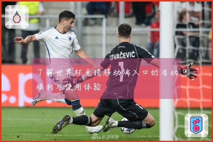 了解世界杯竞猜移动端入口的活动福利与使用体验