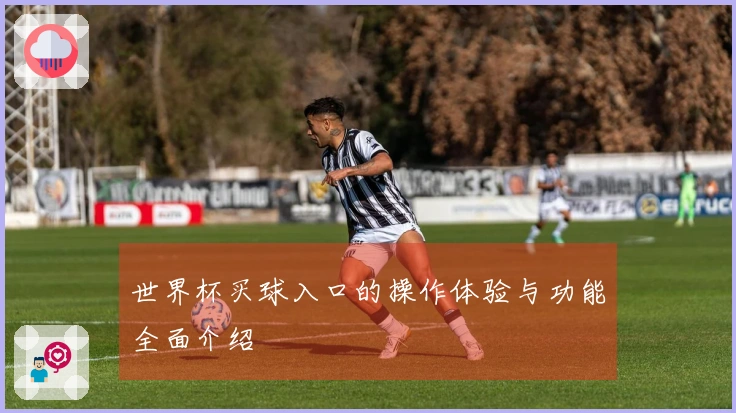 世界杯买球入口的操作体验与功能全面介绍