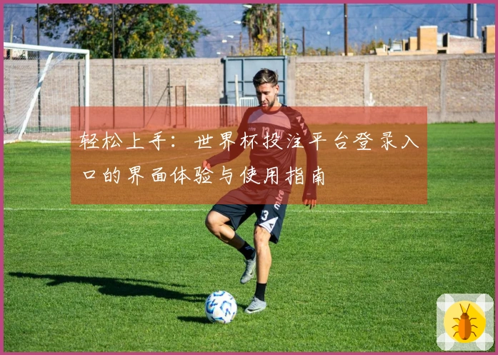 轻松上手：世界杯投注平台登录入口的界面体验与使用指南